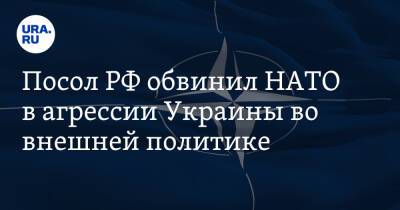Посол РФ обвинил НАТО в агрессии Украины во внешней политике
