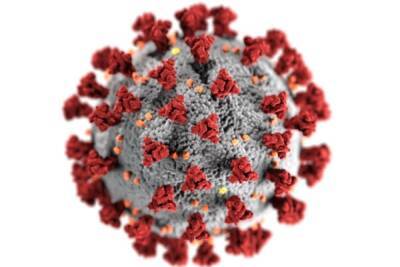 Конгресс США заподозрил главного инфекциониста в сокрытии информации о коронавирусе