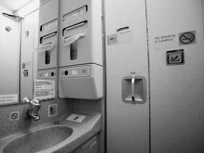 Буйную пассажирку заперли в туалете на время полета из Челябинска в Екатеринбург