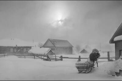В Поморье 12 января ожидается похолодание, снег и метели