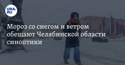 Мороз со снегом и ветром обещают Челябинской области синоптики. Скрин