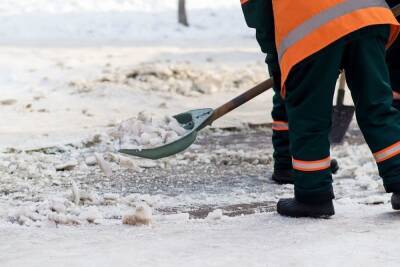 Для уборки снега в Петербурге готовы создать госструктуру