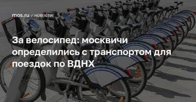 За велосипед: москвичи определились с транспортом для поездок по ВДНХ - mos.ru - Москва - Россия - территория Вднх - Техноград
