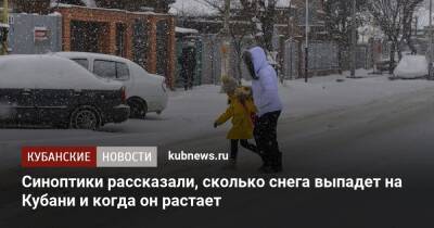 Синоптики рассказали, сколько снега выпадет на Кубани и когда он растает