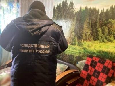 В Кировской области отец зарезал пятилетнего сына и покончил с собой
