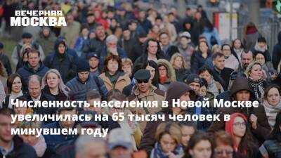 Численность населения в Новой Москве увеличилась на 65 тысяч человек в минувшем году