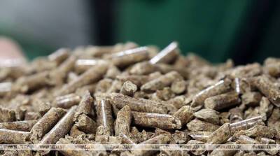 Организации Минлесхоза за два года нарастили производство пеллет в 10 раз