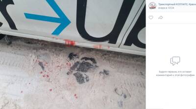 Раскрыто загадочное кровавое нападение и ограбление таксиста в Красном Селе