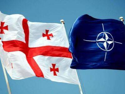 В Грузии принят закон об ответственности за оскорбление флагов ЕС и НАТО