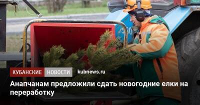 Анапчанам предложили сдать новогодние елки на переработку - kubnews.ru - Анапа - Сочи - Краснодарский край - Лабинск - Экология - Анапа