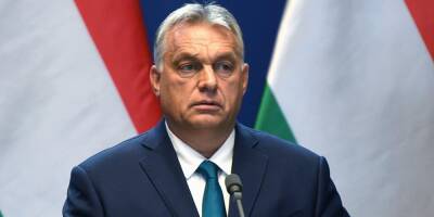 В Чехии возмутились позицией Венгрии по Казахстану
