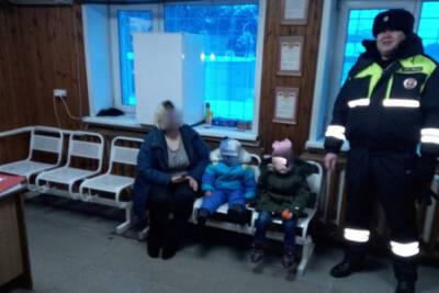 Воронежские автоинспекторы спасли на трассе от обморожения мать с двумя малышами