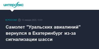 Самолет "Уральских авиалиний" вернулся в Екатеринбург из-за сигнализации шасси