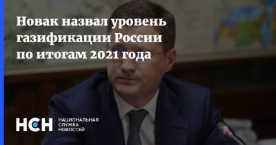 Новак назвал уровень газификации России по итогам 2021 года
