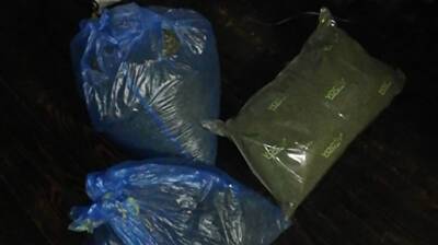 Житель Сморгонского района хранил дома 10 кг марихуаны