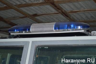В Челябинской области в ДТП с грузовым автомобилем погиб один человек