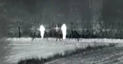 В Польше показали видео, на котором белорусские спецслужбы срезают заграждения и бросают камни в пограничников