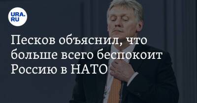 Песков объяснил, что больше всего беспокоит Россию в НАТО