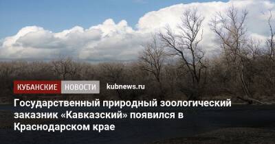 Государственный природный зоологический заказник «Кавказский» появился в Краснодарском крае