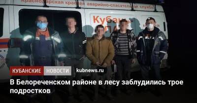 В Белореченском районе в лесу заблудились трое подростков - kubnews.ru - Краснодарский край - район Белореченский - Белореченск