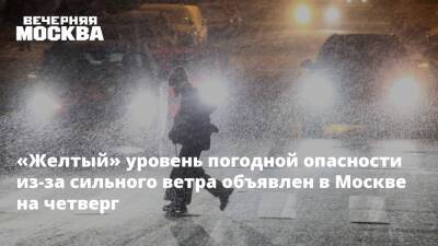 «Желтый» уровень погодной опасности из-за сильного ветра объявлен в Москве на четверг
