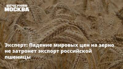 Эксперт: Падение мировых цен на зерно не затронет экспорт российской пшеницы