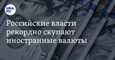 Российские власти рекордно скупают иностранные валюты. Тратят десятки миллиардов в день