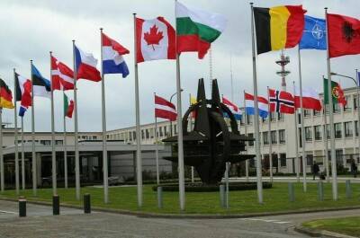 Вступление в НАТО Украины не обсуждается, заявил представитель правительства ФРГ