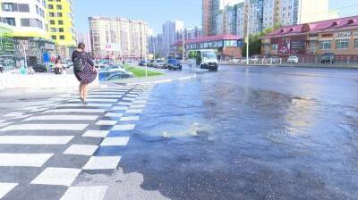 Мэр Воронежа пообещал в 2022 году избавить горожан от фекальных потопов на Шишкова