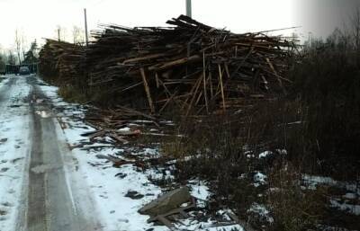 Предприниматель в Тверской области сваливал древесные отходы прямо у дороги