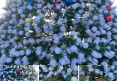 В ОРДО массово воруют новогодние игрушки с городских елок | Новости и события Украины и мира, о политике, здоровье, спорте и интересных людях