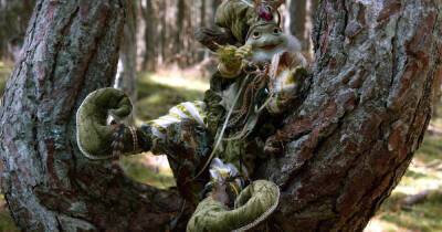 Как появился "Танцующий лес": легенды и секреты Куршской косы