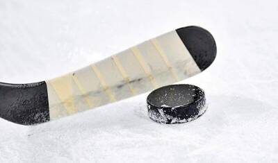 КХЛ планирует провести отмененные матчи во время Олимпиады