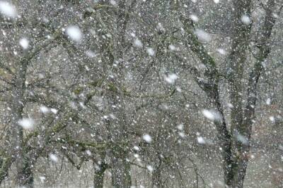 Снегопад и метель ожидаются в Карелии с ночи 13 января