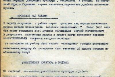 Архивисты опубликовали документы о зверствах фашистов в Псковской области