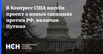 В Конгресс США внесён проект о новых санкциях против РФ, включая Путина