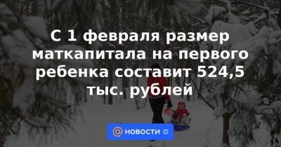 С 1 февраля размер маткапитала на первого ребенка составит 524,5 тыс. рублей