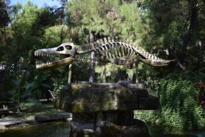 Ученые нашли останки огромного «морского дракона», которым около 180 миллионов лет и мира