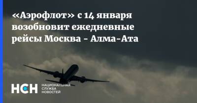«Аэрофлот» с 14 января возобновит ежедневные рейсы Москва - Алма-Ата