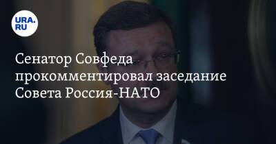 Сенатор Совфеда прокомментировал заседание Совета Россия-НАТО. «Ни рыба ни мясо»
