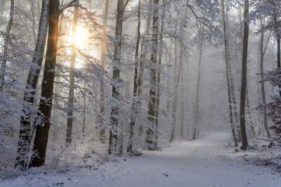 Погода в Хабаровском крае и ЕАО на 13 января