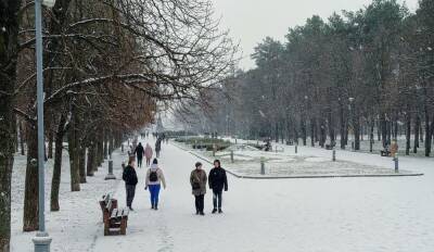 Морозы до -19 ударят по Украине, где будет холоднее всего: «Первый уровень опасности»
