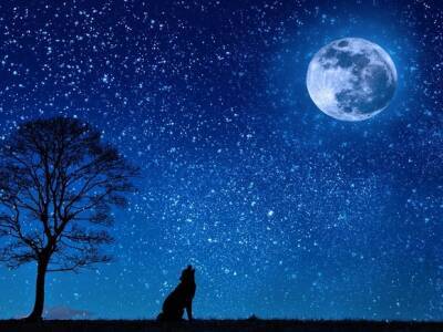 Астрологи рассказали, каким знакам зодиака будет тяжело пережить «волчью луну»