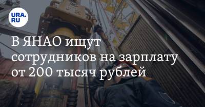 В ЯНАО ищут сотрудников на зарплату от 200 тысяч рублей
