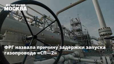 Михаэль Рот - Анналена Бербок - ФРГ назвала причину задержки запуска газопровода «СП—2» - vm.ru - Россия - США - Украина - Германия