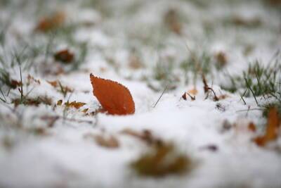 В Астрахани предупредили о мокром снеге и плюсовой температуре 13 января