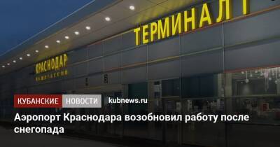 Аэропорт Краснодара возобновил работу после снегопада