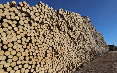 Более 700 тыс. куб. м экспортируемой лесопродукции проконтролировано Россельхознадзором в 2021 году