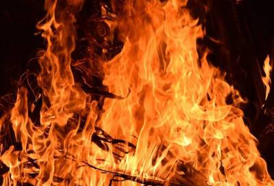 Ночью 13 января в Тосненском районе горел жилой дом