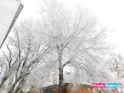 Сильные морозы придут в Ростовскую область в четверг 13 января в 2022 году